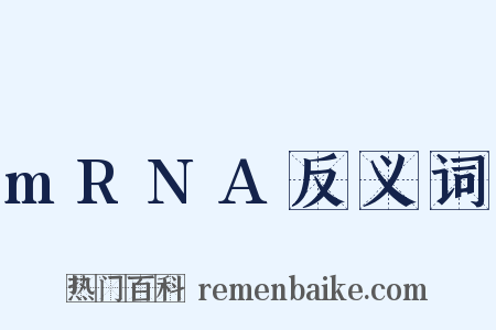 mRNA反义词是什么意思的图片